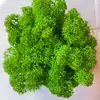 Стабилизированный мох Green Ecco Moss cкандинавский мох ягель Light Green  4 кг
