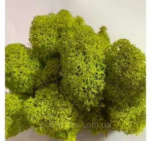 Стабилизированный мох Green Ecco Moss стабилизированный ягель Lime 4 кг