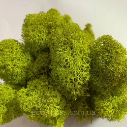 Стабилизированный мох Green Ecco Moss стабилизированный ягель Lime 4 кг