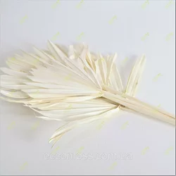 Раскрытый пальмовый лист ("солнышко") Итальянский сухой белый