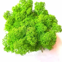 Стабилизированный мох  Green Ecco Moss cкандинавский мох ягель Light Green 4 кг