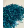 Стабилизированный мох Green Ecco Moss ягель украинский голубой 4 кг