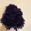 Стабилизированный мох Green Ecco Moss ягель украинский фиолетовый 4 кг
