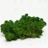 Стабилизированный мох Green Ecco Moss cкандинавский мох ягель Forest Green 1 кг