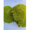 Стабилизированный мох Green Ecco Moss  кочка лайм 0.5 кг.