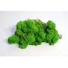 Очищений стабилизированный мох  Green Ecco Moss cкандинавский мох ягель Light Green 1 кг