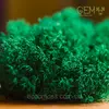 Стабилизированный мох Green Ecco Moss ягель украинский изумрудный 0.5 кг