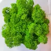 Стабилизированный мох Green Ecco Moss cкандинавский мох ягель Light Green  0.5 кг