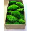 Стабилизированный мох Green Ecco Moss  кочка зеленая 4 кг.