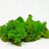 Очищений стабилизированный мох Green Ecco Moss cкандинавский мох ягель Light Green  0.5 кг