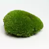 Стабилизированный мох Green Ecco Moss  кочка Светло Зеленый - Light GREEN 1 кг