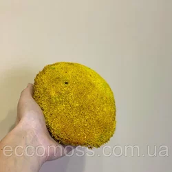 Стабилизированный мох Green Ecco Moss  кочка желтая 4 кг