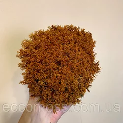 Стабилизированный мох Green Ecco Moss ягель украинский оранжевый 1 кг