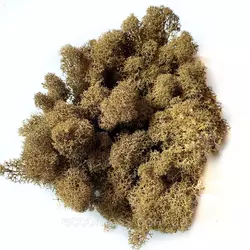 Очищений стабилизированный мох Green Ecco Moss cкандинавский  ягель коричневый  1 кг