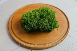 Стабилизированный мох Grren Ecco Moss украинский ягель зеленый 4 кг