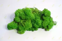 Очищений стабилизированный мох  Green Ecco Moss cкандинавский мох ягель Light Green 1 кг