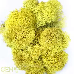 Стабилизированный мох Grren Ecco Moss ягель норвежский желтый 1 кг
