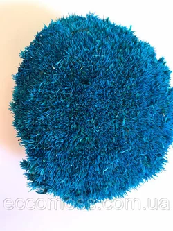 Стабилизированный мох Green Ecco Moss  кочка синие 4 кг.