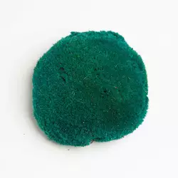 Стабилизированный мох Green Ecco Moss  кочка Бирюзовая – TURQUOISE - 1 кг