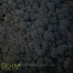 Очищений стабилизированный мох Green Ecco Moss cкандинавский ягель Black 0,5 кг