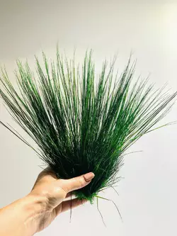 Фестука трава стабилизированная темно-зеленая