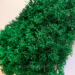 Стабилизированный мох Green Ecco Moss  ягель украинский темно-зеленый 0.5 кг