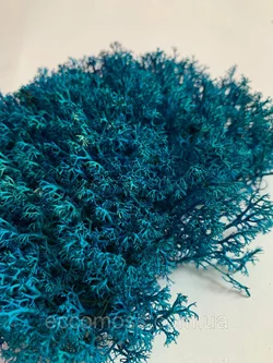 Стабилизированный мох Green Ecco Moss ягель украинский голубой 1 кг