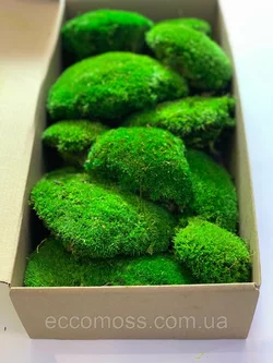 Стабилизированный мох Green Ecco Moss  кочка зеленая 4 кг.