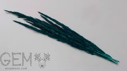 Овес (пампасная трава) стабилизированный синий