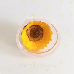 Стабилизированный цветок подсолнечника