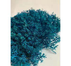 Стабилизированный мох Green Ecco Moss ягель украинский голубой 4 кг