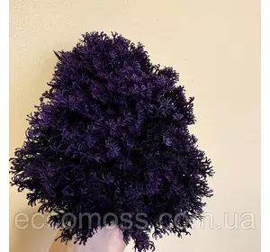 Стабилизированный мох Green Ecco Moss ягель украинский фиолетовый 4 кг