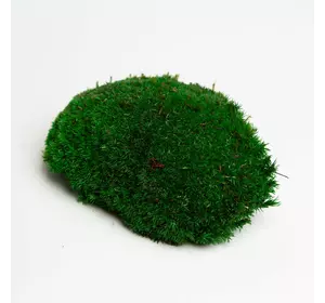 Стабилизированный мох Green Ecco Moss  кочка тёмно-зеленая 1 кг