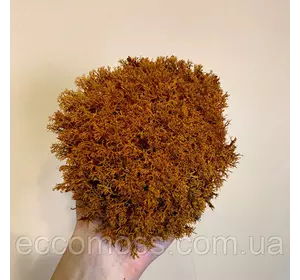 Стабилизированный мох Green Ecco Moss ягель украинский оранжевый 1 кг
