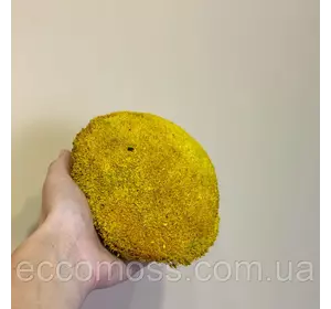 Стабилизированный мох Green Ecco Moss  кочка желтая 0,5 кг
