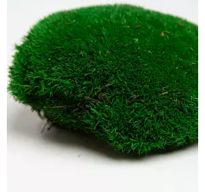 Стабилизированный мох Green Ecco Moss  кочка Натурально-зеленая - NATURAL GREEN - 0,5 кг