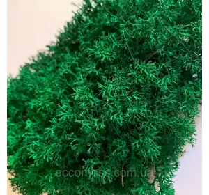Стабилизированный мох Green Ecco Moss ягель украинский темно-зеленый 1 кг