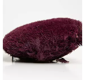 Стабилизированный мох Green Ecco Moss  кочка Пурпурная – PURPLE - 4 кг