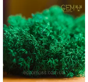 Стабилизированный мох Green Ecco Moss ягель украинский изумрудный 0.5 кг