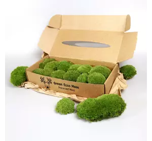 Стабилизированный мох Green Ecco Moss  кочка Светло Зеленый - Light GREEN 0,5 кг