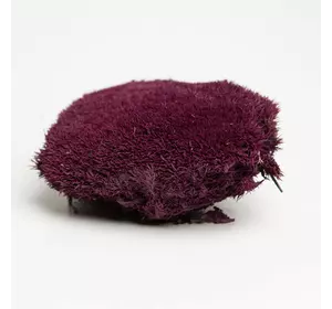Стабилизированный мох Green Ecco Moss  кочка Пурпурная – PURPLE - 0,5 кг