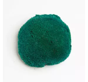 Стабилизированный мох Green Ecco Moss  кочка Бирюзовая – TURQUOISE - 1 кг