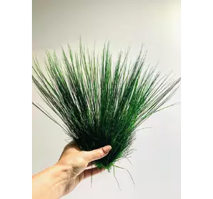 Фестука трава стабилизированная темно-зеленая