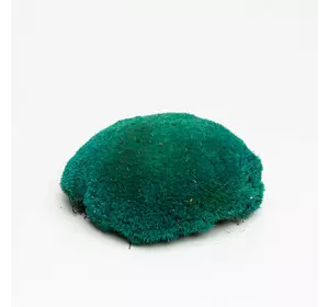 Стабилизированный мох Green Ecco Moss  кочка Бирюзовая – TURQUOISE - 4 кг