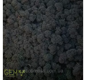 Стабилизированный мох Green Ecco Moss cкандинавский ягель Black 4 кг